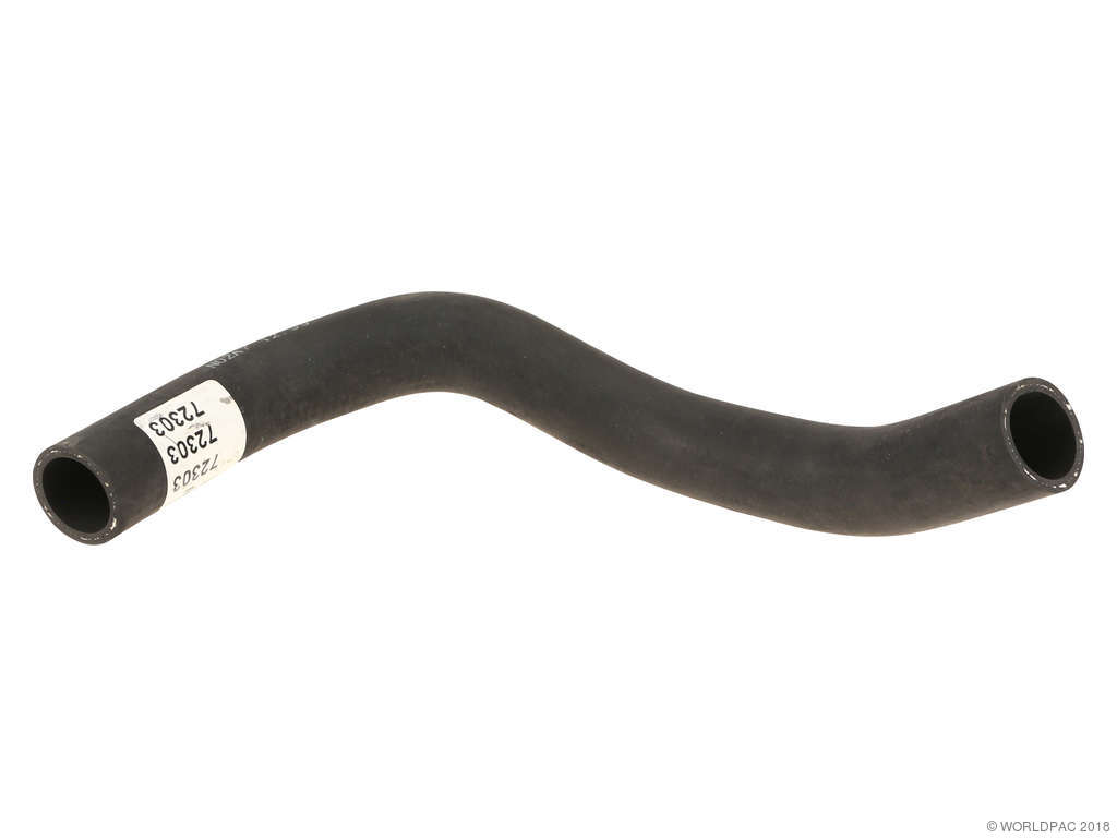 2004-2010 INFINITI QX56 Radiator Coolant Hose - Lower (Dayco)