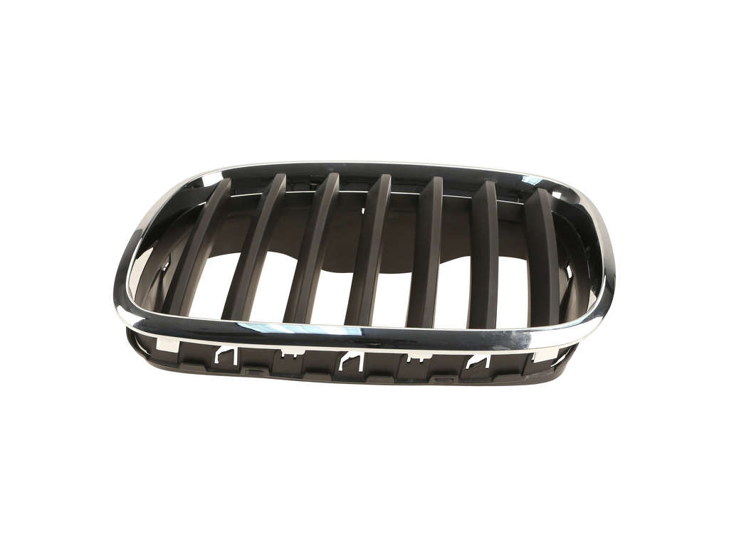 2008-2012 BMW X6 Grille Insert - Left (Aftermarket)