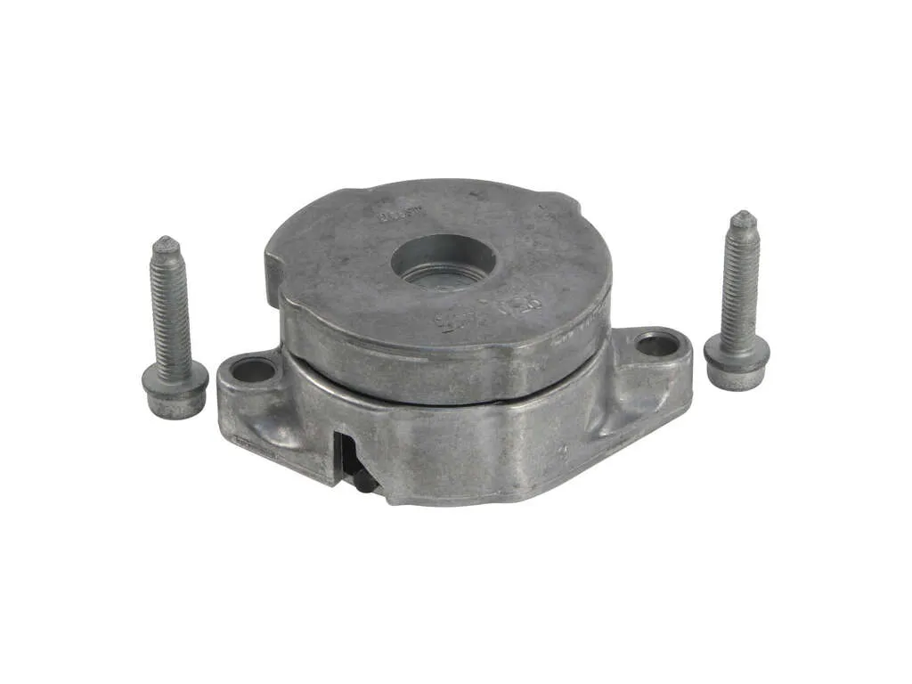 1993-1998 Volkswagen Golf Accessory Drive Belt Tensioner (INA)