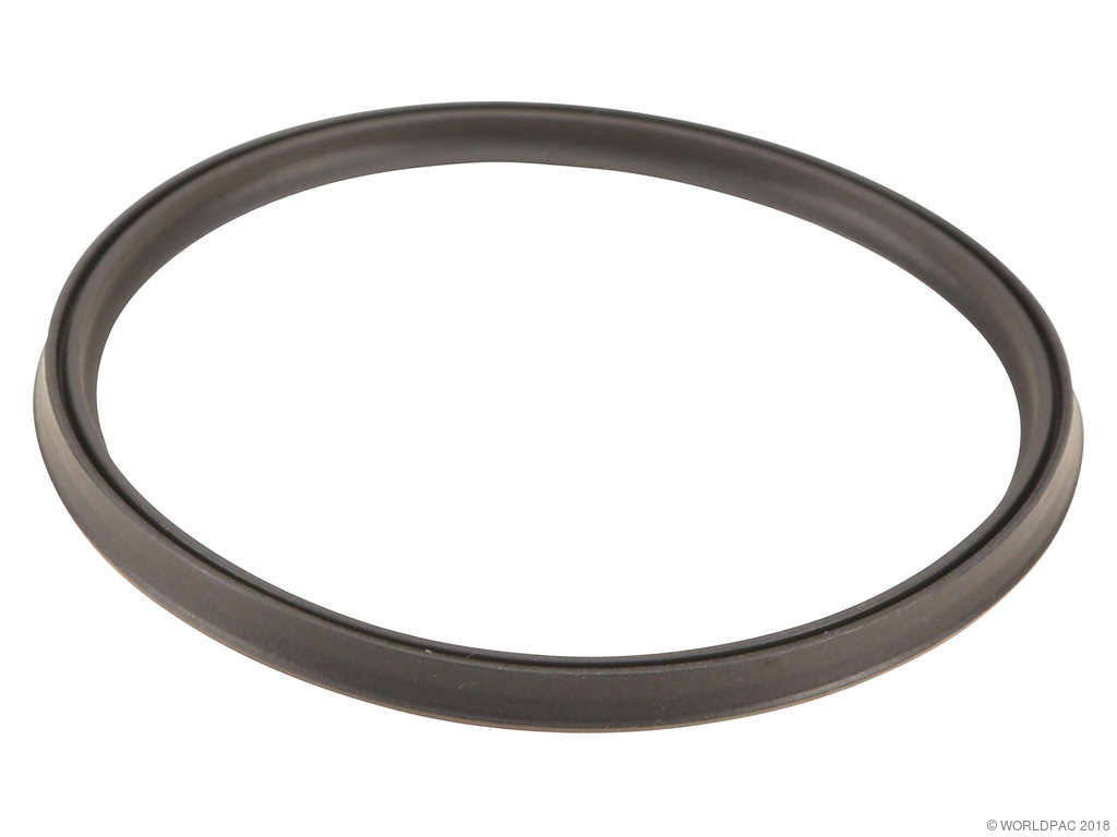 2016-2018 BMW M2 Intercooler Gasket (Genuine)