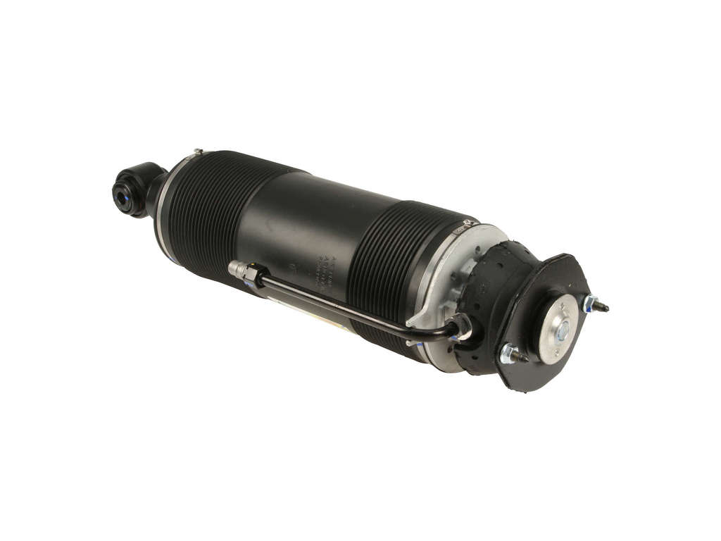 2007-2011 Mercedes-Benz SL600 Air Suspension Strut - Rear Left (Arnott)