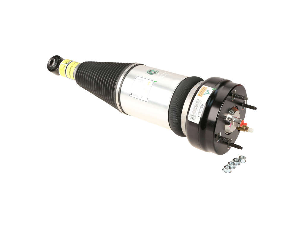 2006-2009 Jaguar XJR Suspension Shock Absorber - Rear (Arnott)