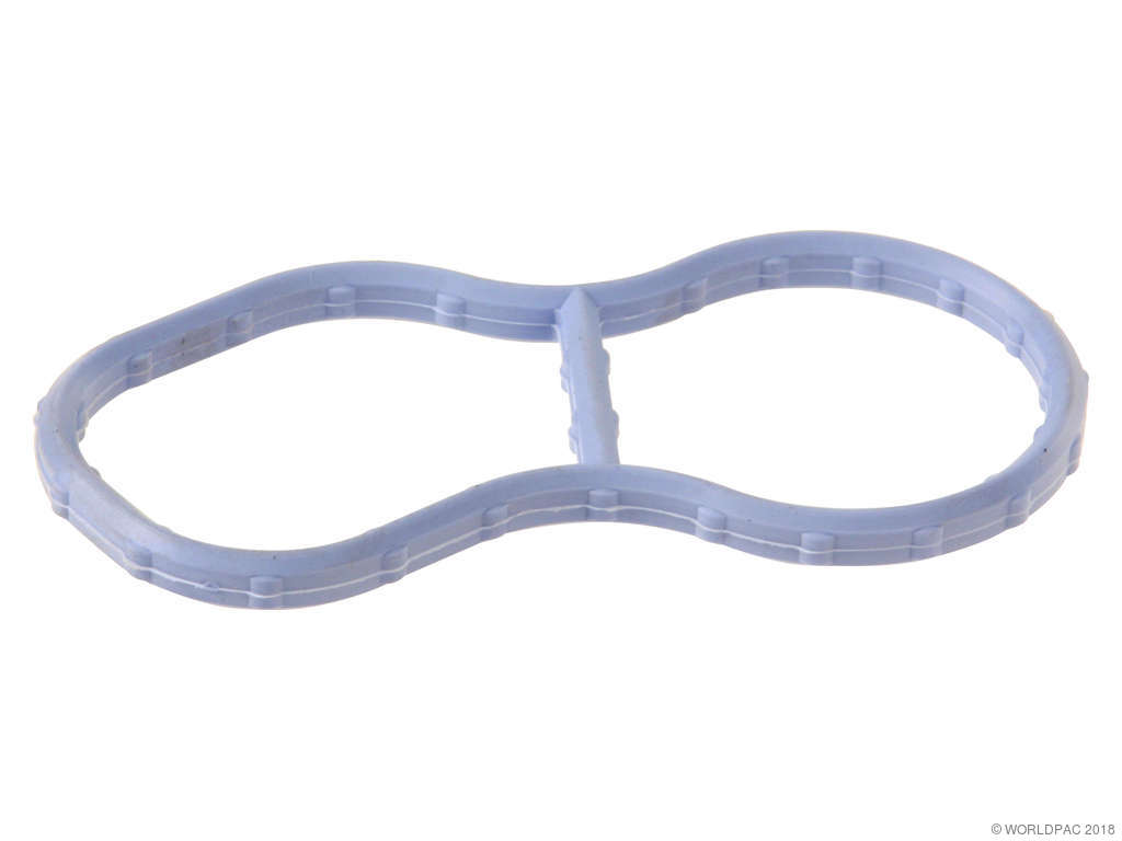 2003 Ford E-150 Fuel Injection Plenum Gasket - Plenum To Manifold (Genuine)