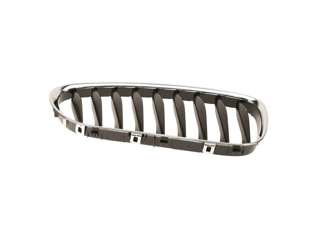 2003-2008 BMW Z4 Grille - Right (Genuine)