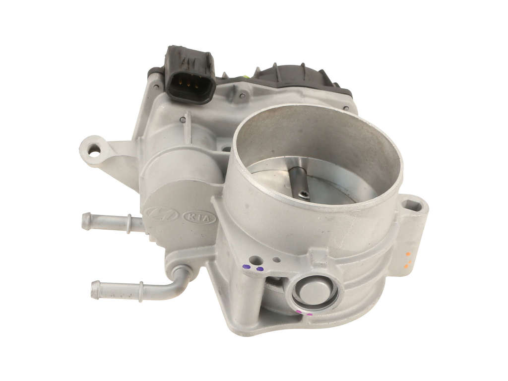 2010-2011 Hyundai Azera Fuel Injection Throttle Body (Cardone)