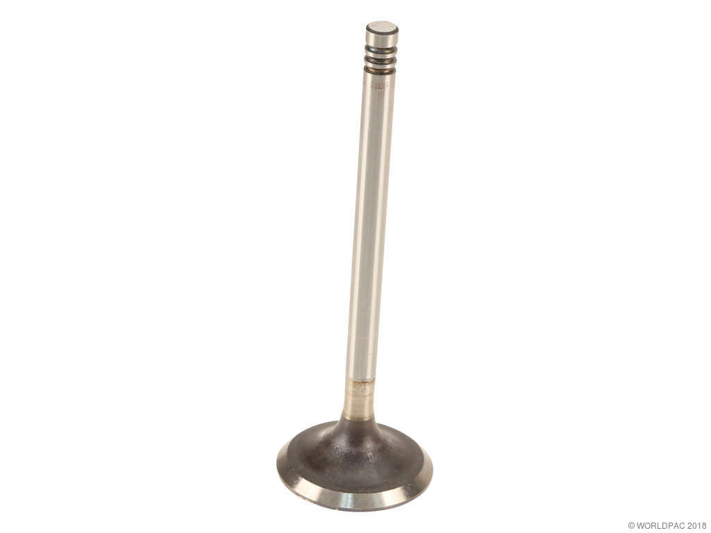 1985-1992 Volkswagen Transporter Engine Intake Valve (AE)