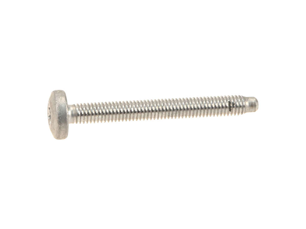2015-2017 Porsche Macan Engine Timing Cover Bolt (Genuine)