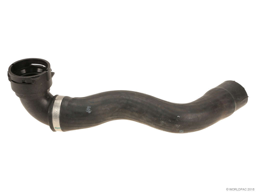 2003-2006 Mercedes-Benz CL600 Radiator Coolant Hose - Upper (Genuine)