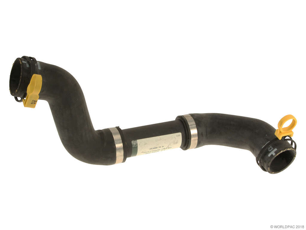 2003-2005 Jaguar S-Type Radiator Coolant Hose - Lower (Genuine)