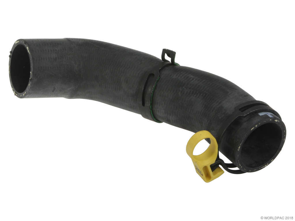2004-2005 Jaguar XJR Radiator Coolant Hose - Upper (Genuine)