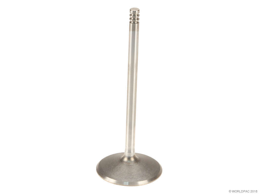 2000-2002 Ford E-150 Econoline Engine Intake Valve (Genuine)