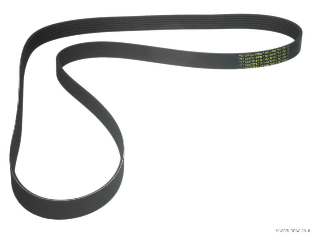 1993-1995 BMW 740i Accessory Drive Belt - Primary (ContiTech)