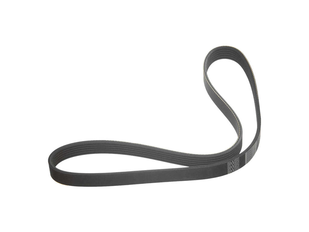 2019-2021 Volkswagen Golf Accessory Drive Belt -  or Alternator and Compressor (Bando)