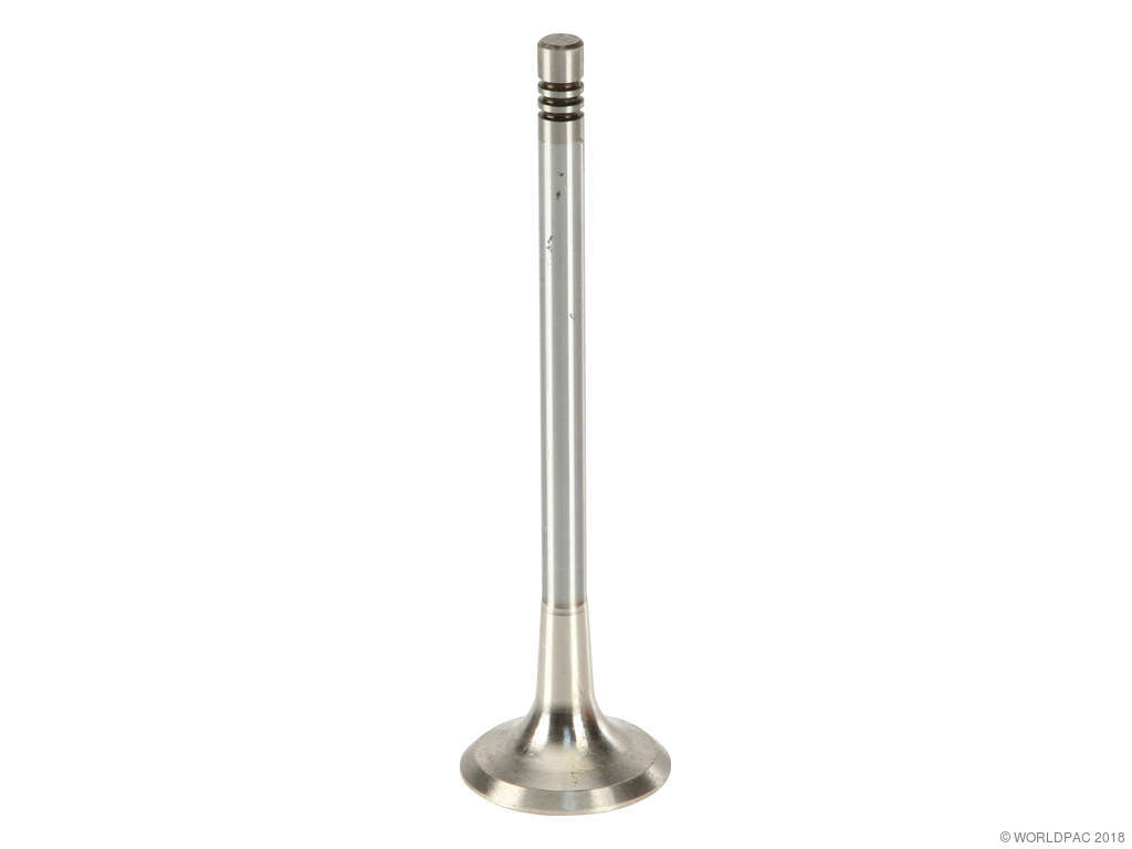 2008-2011 Audi A6 Engine Exhaust Valve (TRW)