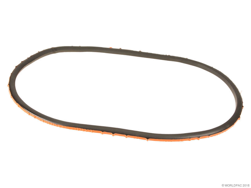 2001-2006 BMW M3 Headlight Lens Gasket (APA/URO Parts)