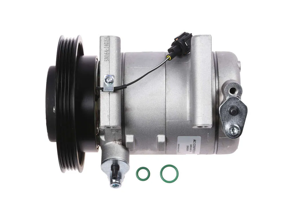 2000-2004 Nissan Xterra A/C Compressor (Autopart International)