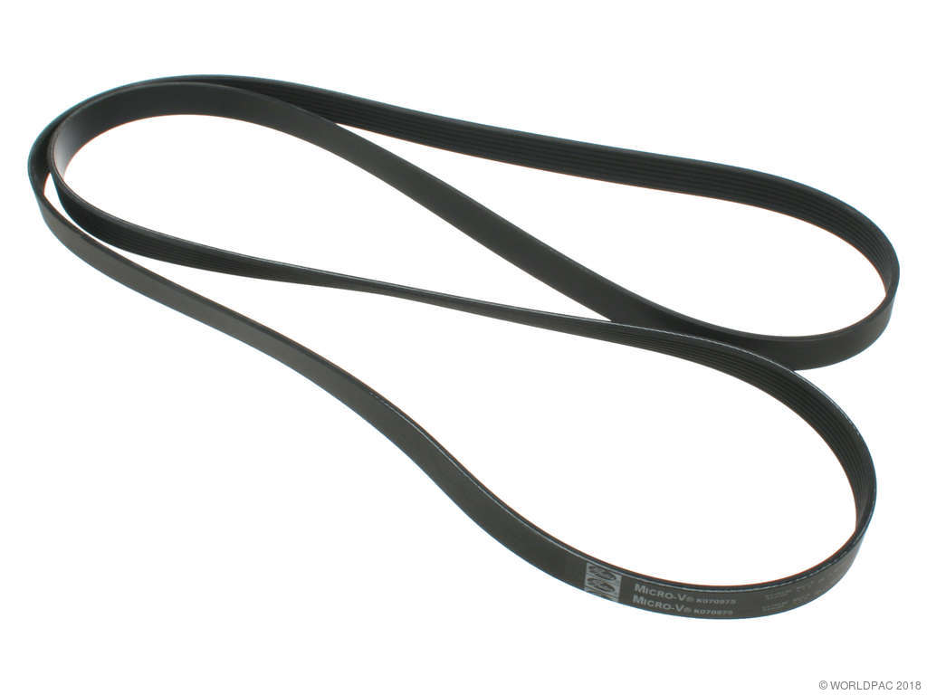 1998-2003 Dodge Durango Accessory Drive Belt (Gates)