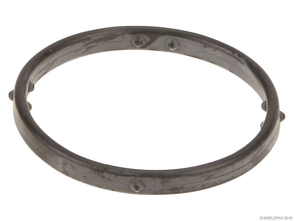 2007-2010 Audi Q7 Engine Coolant Outlet Gasket (Genuine)