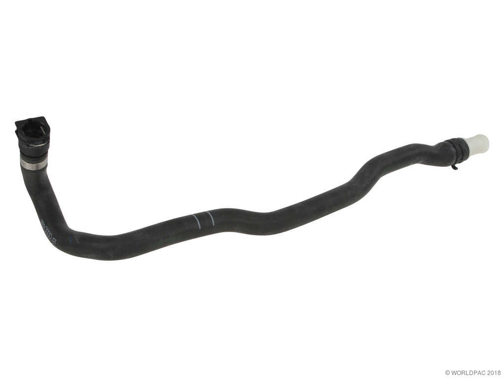 2004-2006 Audi A8 Quattro Engine Coolant Hose (Genuine)