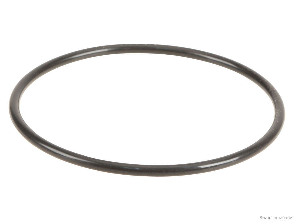 2001-2006 Kia Optima Fuel Pump Tank Seal (Genuine)