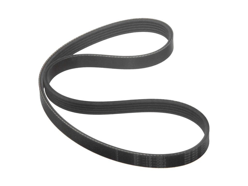1993-1998 Nissan Quest Accessory Drive Belt - Alternator (Bando)