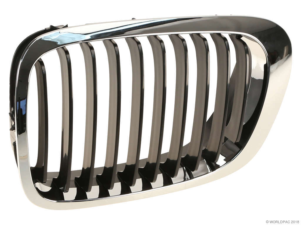 2001-2003 BMW 330Ci Grille - Left (Trucktec)