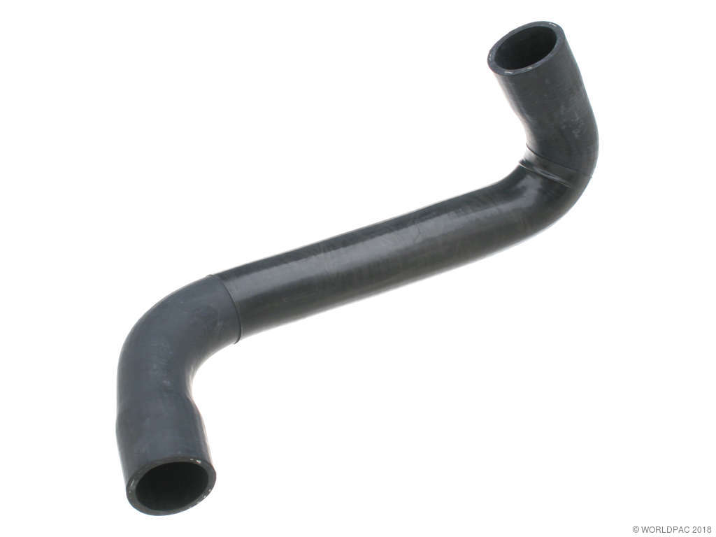 1998-1999 Mercedes-Benz CL500 Radiator Coolant Hose - Lower (Febi)