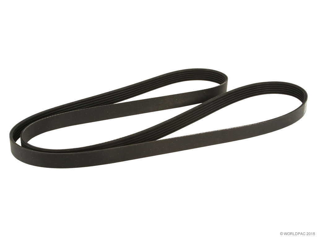 2000-2001 Chevrolet Lumina Accessory Drive Belt (Dayco)