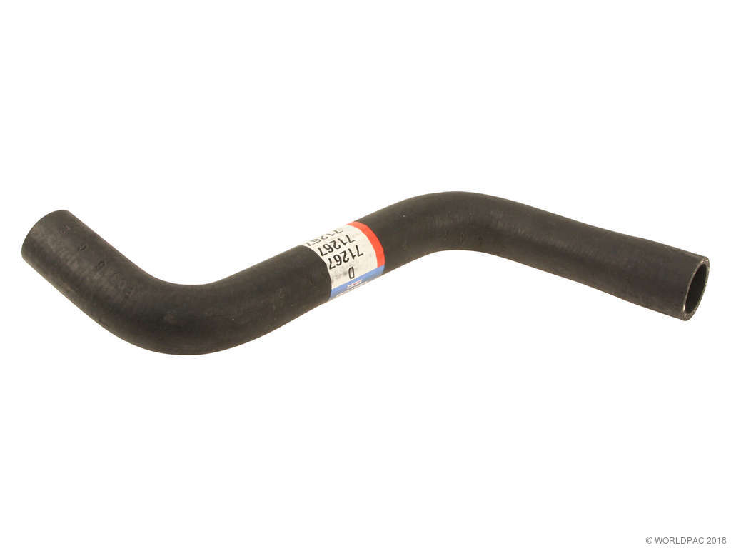 1989 Buick Century Radiator Coolant Hose (Dayco)