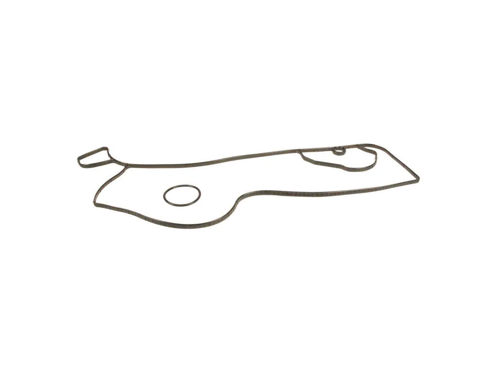 2011-2019 Ford F-350 Super Duty Engine Water Pump Gasket (Mahle)