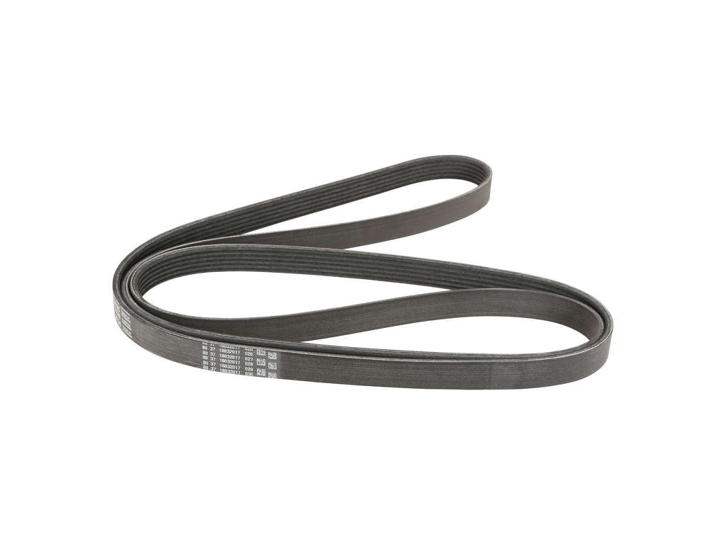 2005-2006 Mazda Tribute Accessory Drive Belt - Primary (ContiTech)