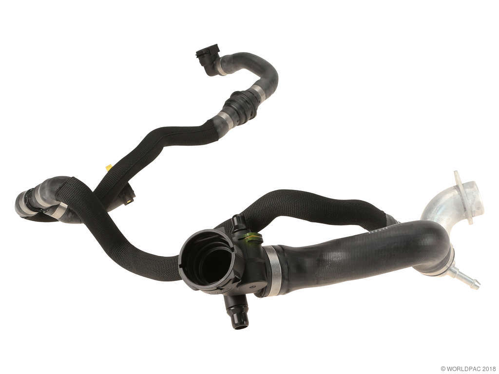 2010-2012 BMW 750Li Radiator Coolant Hose - Upper (Genuine)