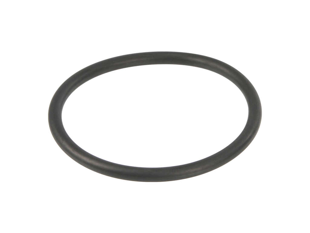 1976-1981 Volvo 262 Fuel Tank Sending Unit O-Ring (MTC)