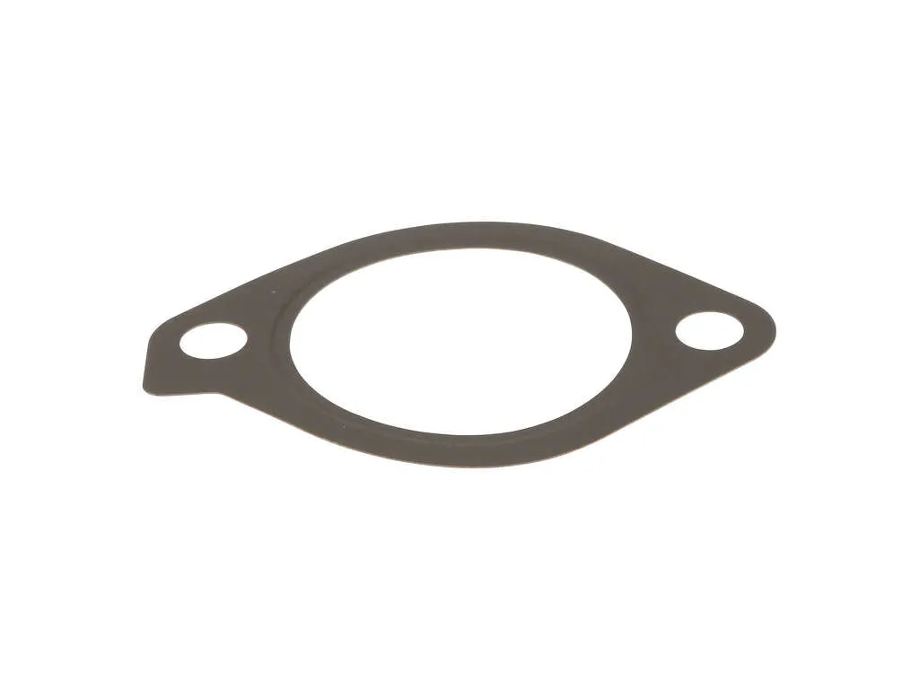 2003-2006 Mitsubishi Lancer Turbocharger Gasket (Genuine)