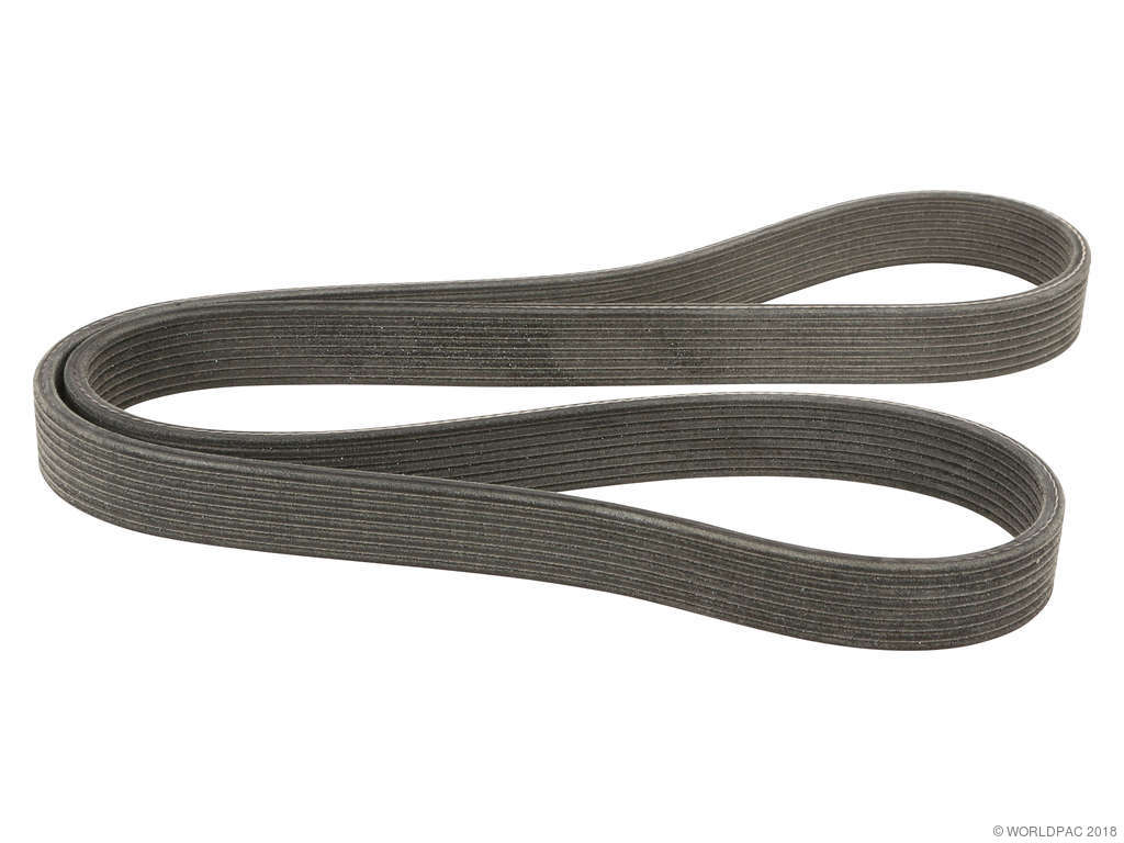 2010-2015 Jaguar XF Accessory Drive Belt - Supercharger (Dayco)