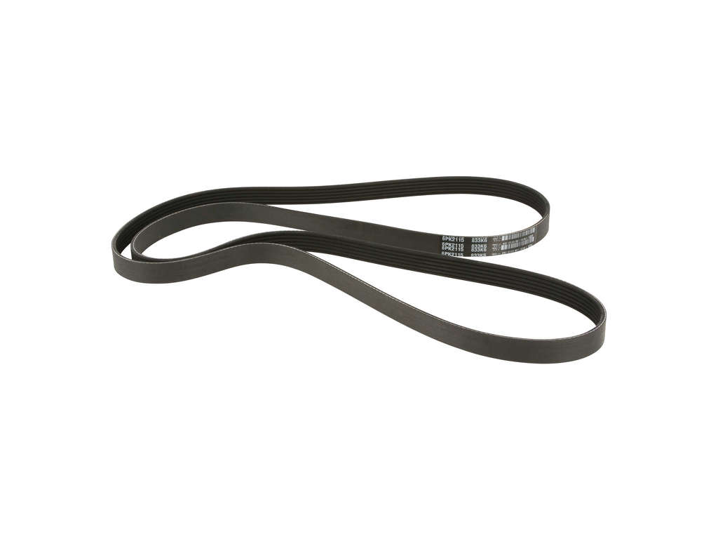 1997-2008 Porsche Boxster Accessory Drive Belt (Dayco)