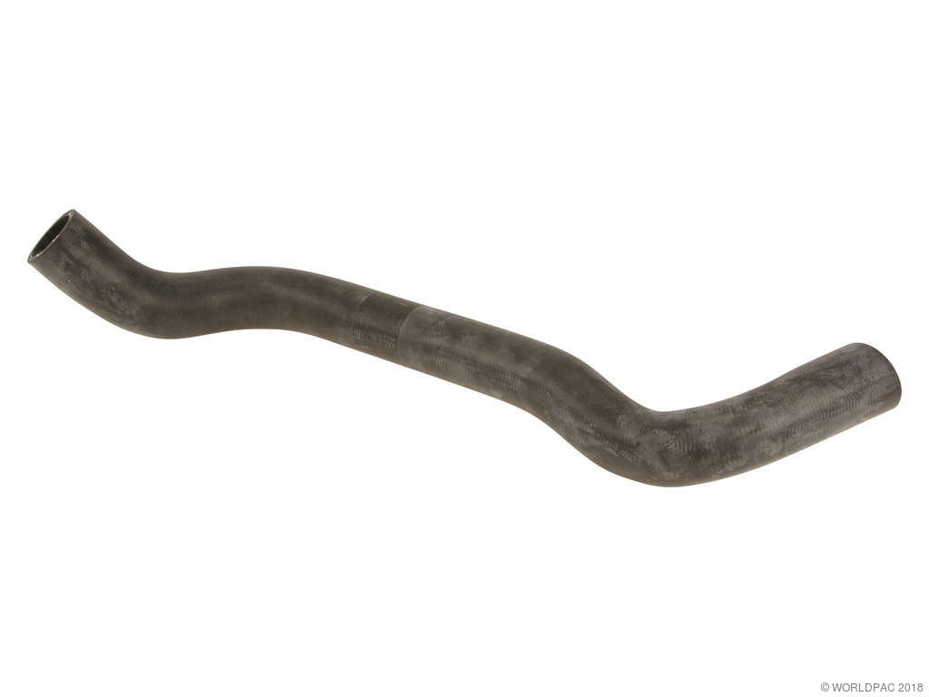 1982-1988 BMW 528e Radiator Coolant Hose - Lower (APA/URO Parts)