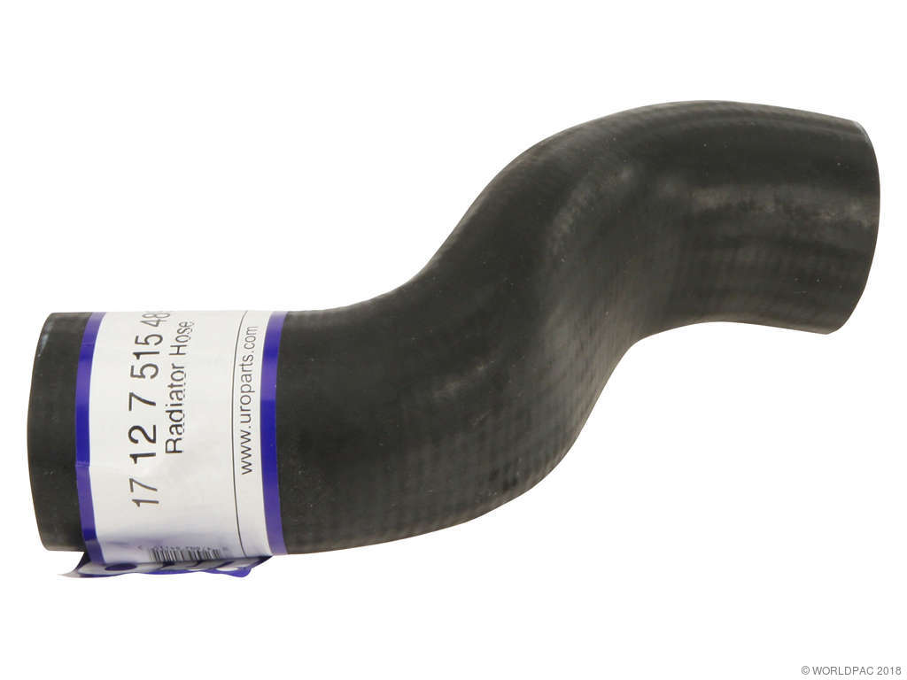 2002-2005 Mini Cooper Radiator Coolant Hose - Lower (Rein)