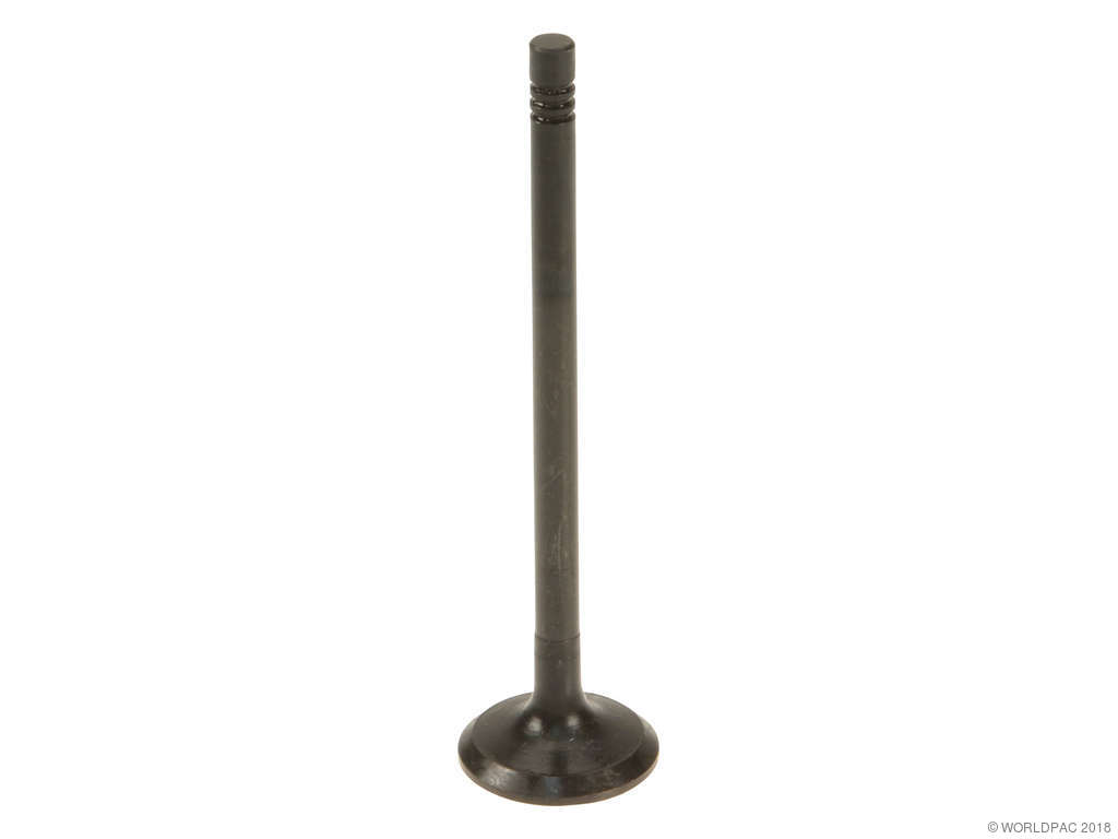 1999-2006 Volvo S80 Engine Exhaust Valve (AE)