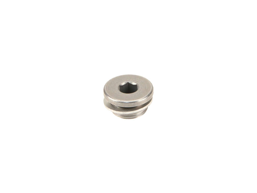 2016-2020 BMW M2 Engine Cylinder Head Plug (Genuine)