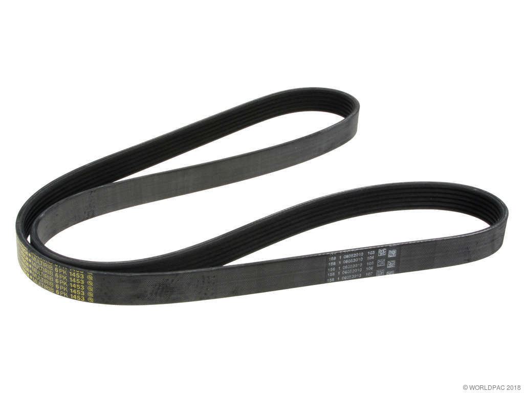 2003-2005 BMW Z4 Accessory Drive Belt - Primary (ContiTech)