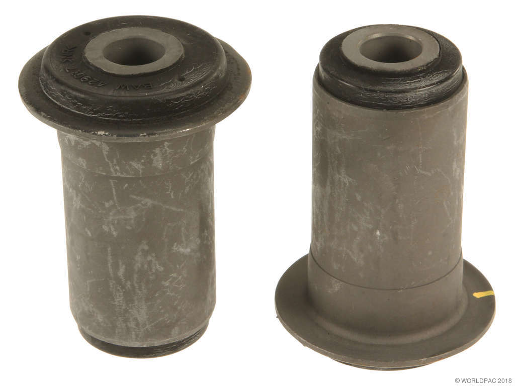 1999 Dodge Ram 2500 Van Suspension Control Arm Bushing Kit - Front Lower (TRW)