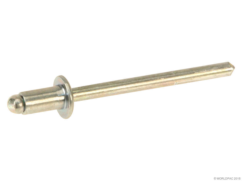 1998-2001 Audi A4 Window Regulator Rivet -  or Front (Genuine)