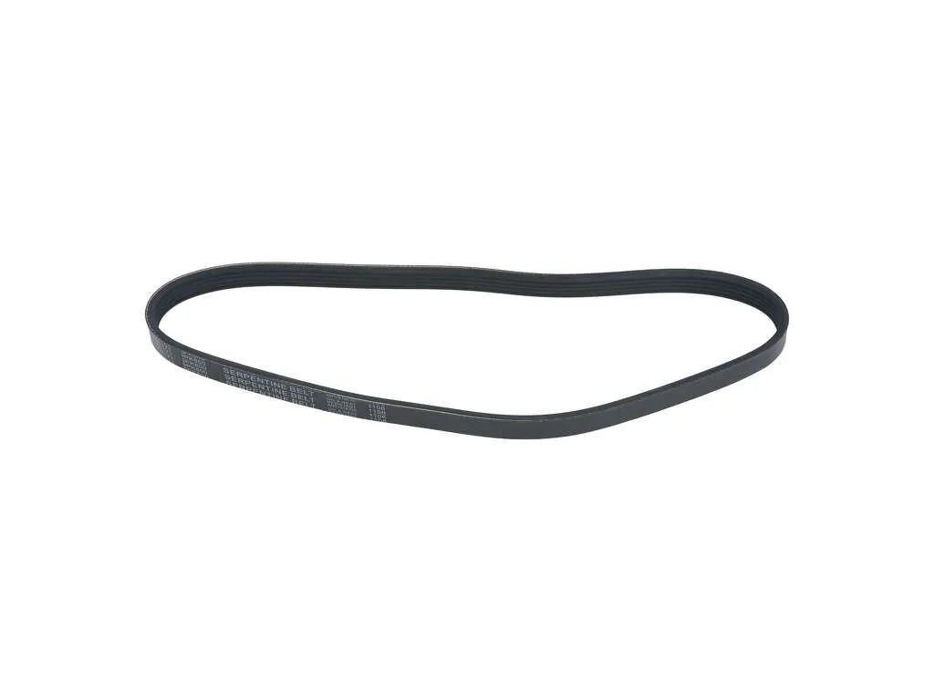2000-2004 Nissan Xterra Accessory Drive Belt - Alternator (Autopart International)