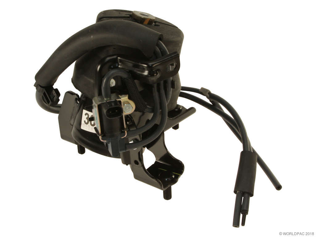 2009-2016 Toyota Venza Engine Mount - Front (Genuine)