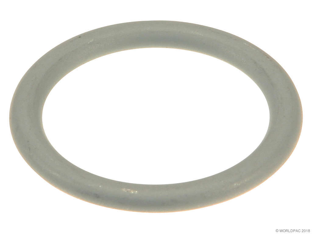2002-2003 Audi S6 Engine Oil Drain Plug Gasket (Victor Reinz)