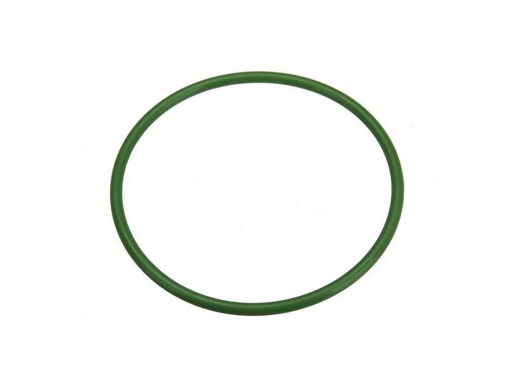 2011-2012 Nissan Juke Fuel Tank Sending Unit Gasket (Autotecnica)