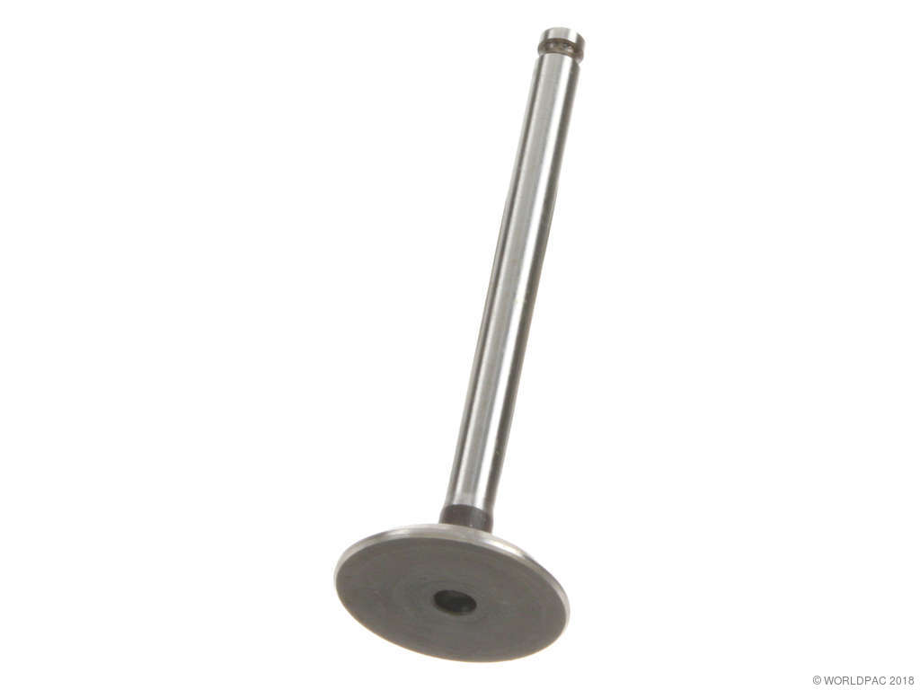1995-1996 Audi S6 Engine Intake Valve (AE)