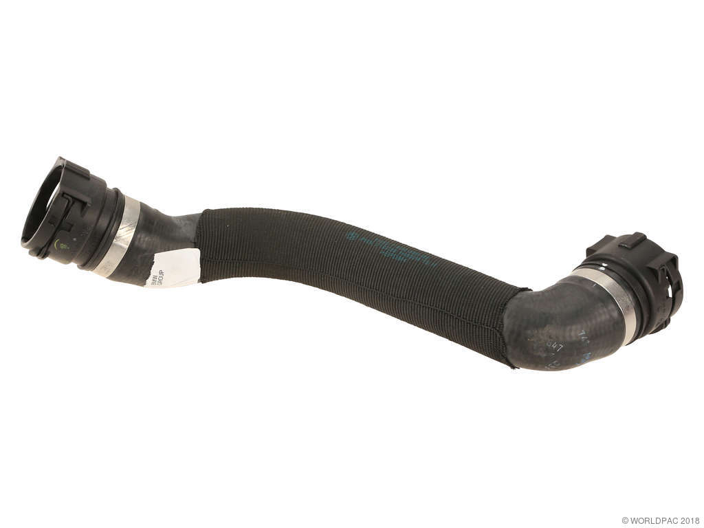 2006-2010 BMW M5 Radiator Coolant Hose - Lower (Genuine)