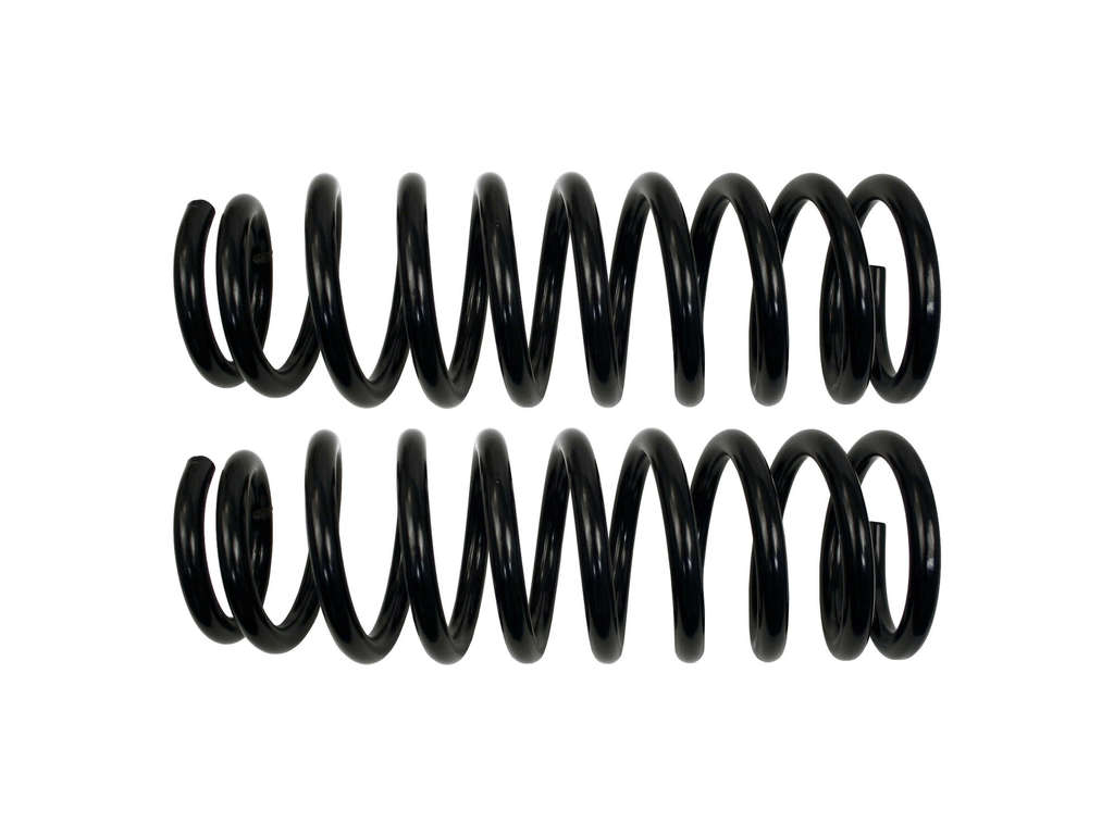 2006-2007 Hyundai Sonata Coil Spring - Rear (Moog)